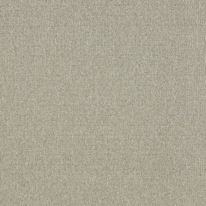 4529 Aloe by Charlotte Designer Fabric Ring Book Page #19 & Ring Book Page #34A 76% Olefin, 24% Polyester Made In USA Exceeds 70,000 Wyzenbeek Rubs (Heavy Duty) No Repeat 54 Inches - Swanky Fabrics -