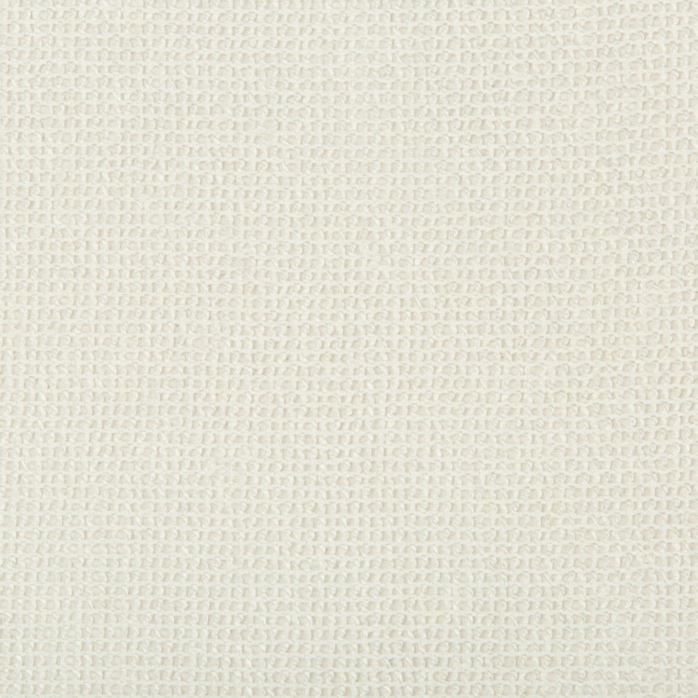 4584-1 by Kravet Design Designer Fabric - POLYAMIDE - 44%;COTTON - 43%;POLYESTER - 8%;LINEN - 5% Turkey - Horizontal: - and Vertical: - 115 - Swanky Fabrics -