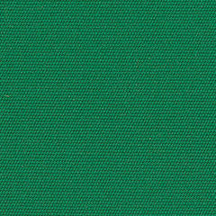 Sunbrella Fabric 4600 Erin Green