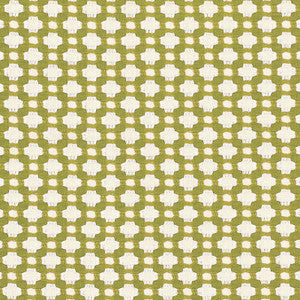 Schumacher Fabric Betwixt Grass/Ivory 62614