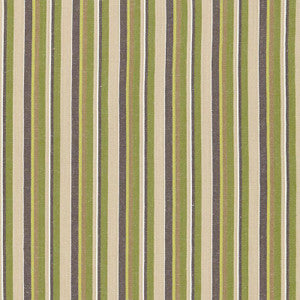 Schumacher Fabric Kiawah Stripe Vert 66031