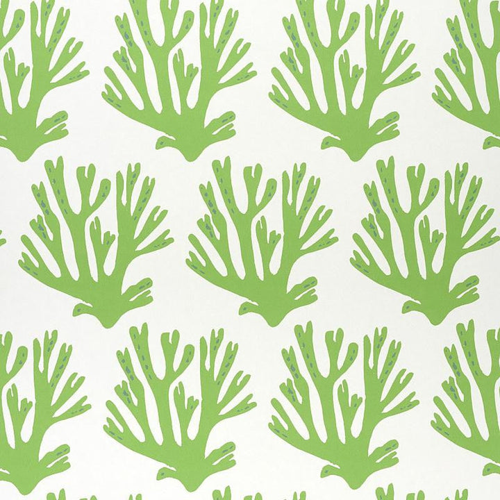 Coral Green 5011200 by Schumacher Designer Wallpaper Molly Mahon 6.88" - Swanky Fabrics -