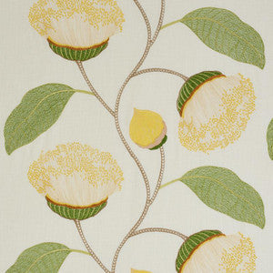 Schumacher Fabric Celinda Embroidery Yellow 78300