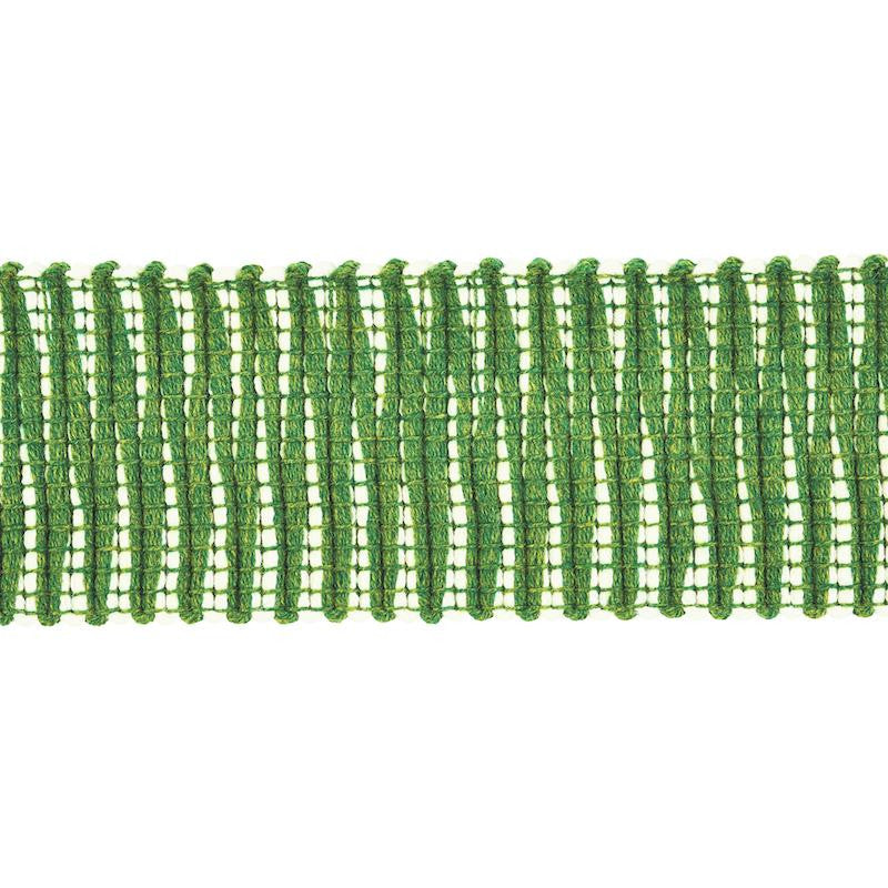 Pierce Tape Indoor/Outdoor Green 79410 by Schumacher Designer Trim Indoor/Outdoor: Prints & Wovens - Swanky Fabrics -