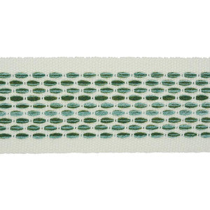 Schumacher Trim Portola Tape Indoor/Outdoor Green 79420