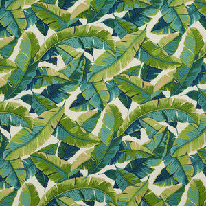 Charlotte Fabric 4635 Belize