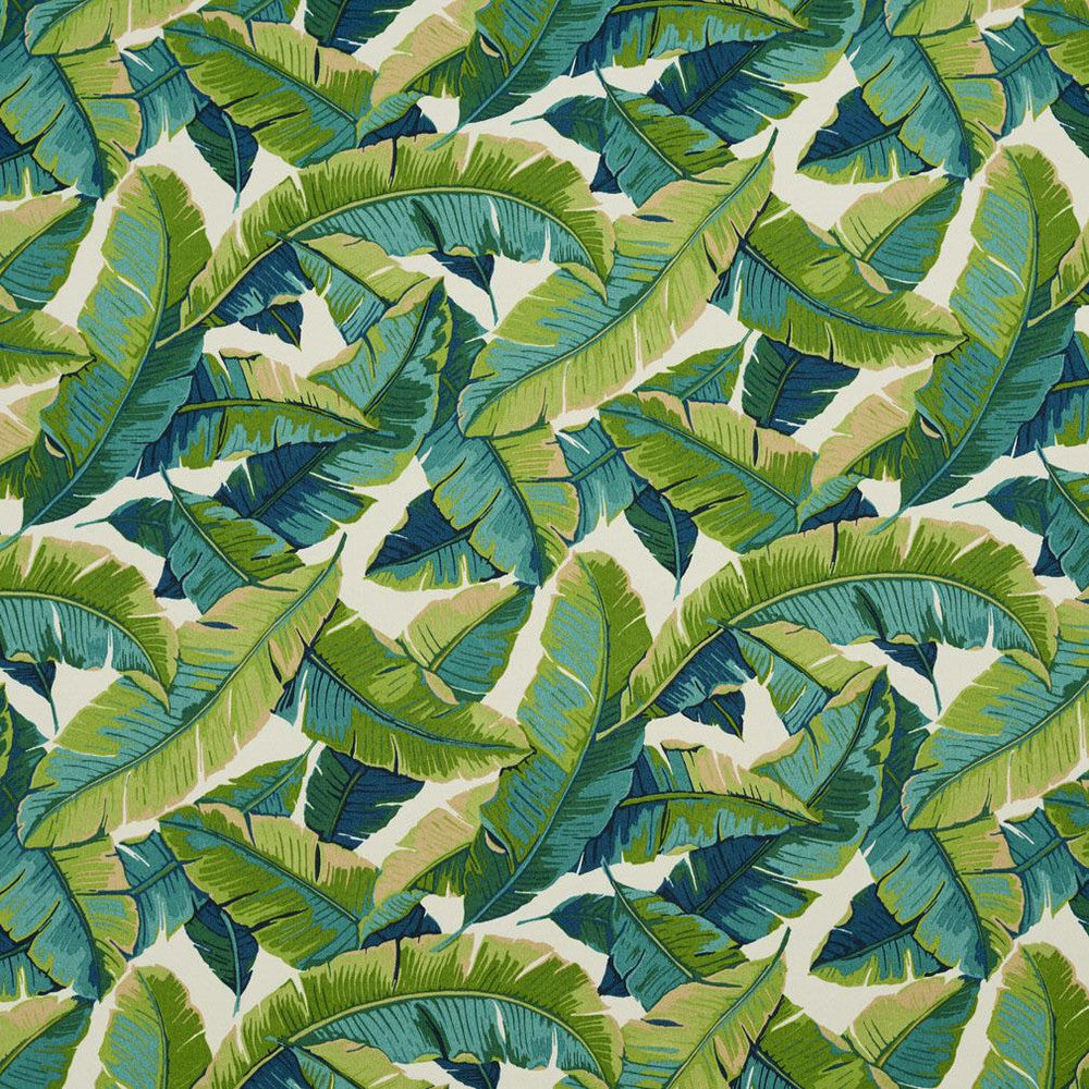 4635 Belize by Charlotte Designer Fabric All Seasons IV 100% Acrylic Made In USA Exceeds 30,000 Wyzenbeek Rubs (Heavy Duty) Horizontal: 27" x Vertical: 25" 54 Inches - Swanky Fabrics -