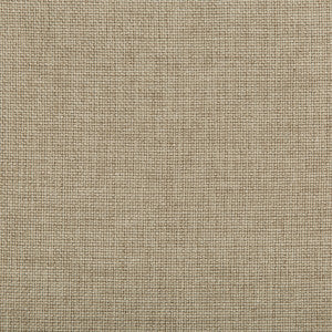 Kravet Fabric 4637-106