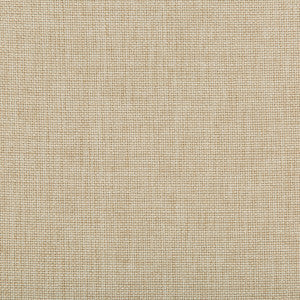 Kravet Fabric 4637-116
