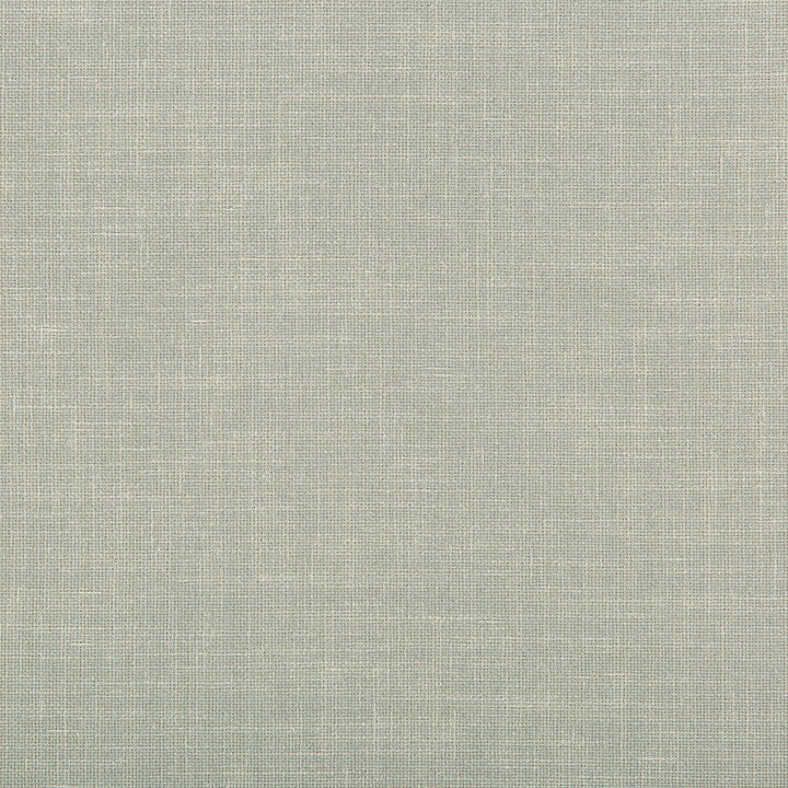 4639-11 by Kravet Contract Designer Fabric POLYESTER - 100% India Horizontal: 0 and Vertical: 0 58 - Swanky Fabrics -