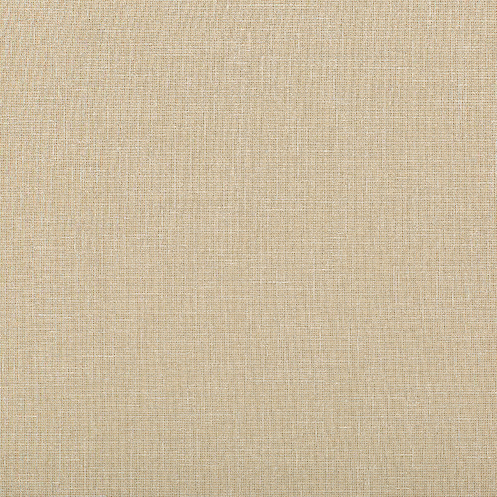 Kravet Contract 4644-1 by Kravet Contract Fabric Kravet Contract Fabric Kravet Contract 4644-1Fabric POLYESTER - 100% India </p><p>Repeat: H: , V: 54 - Fabric Carolina -