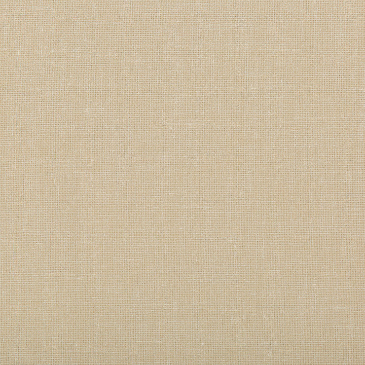Kravet Contract 4644-1 by Kravet Contract Fabric Kravet Contract Fabric Kravet Contract 4644-1Fabric POLYESTER - 100% India </p><p>Repeat: H: , V: 54 - Fabric Carolina -