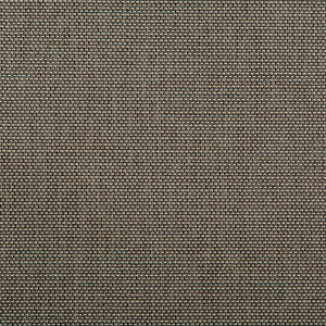 Kravet Fabric 4645-1621