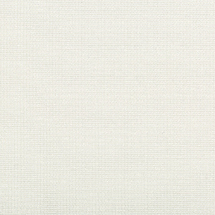 4645-1 by Kravet Contract Designer Fabric - POLYESTER - 100% Turkey - Horizontal: - and Vertical: - 58 - Swanky Fabrics -