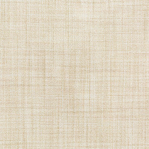 Kravet Fabric  4650-1