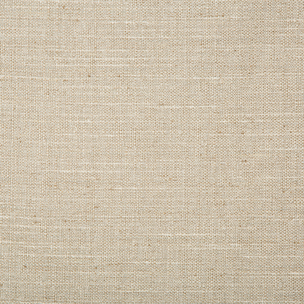 4665-106 by Kravet Basics Designer Fabric POLYESTER - 83%;RAYON - 12%;COTTON - 5% India HEAVY Horizontal: 0 and Vertical: 0 55 - Swanky Fabrics -