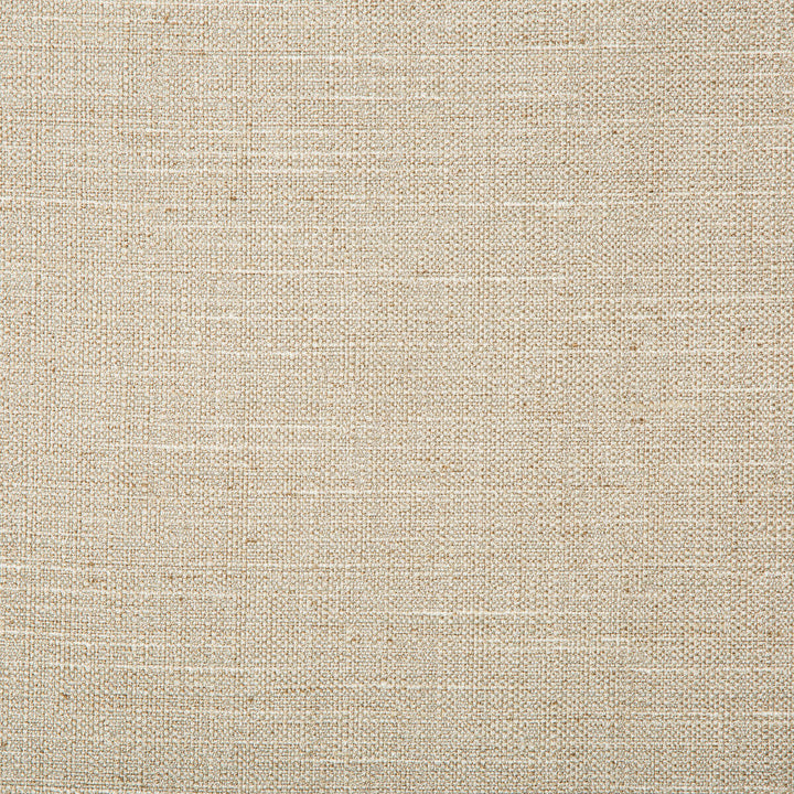 4665-106 by Kravet Basics Designer Fabric POLYESTER - 83%;RAYON - 12%;COTTON - 5% India HEAVY Horizontal: 0 and Vertical: 0 55 - Swanky Fabrics -