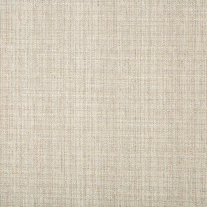 Kravet Fabric 4665-11