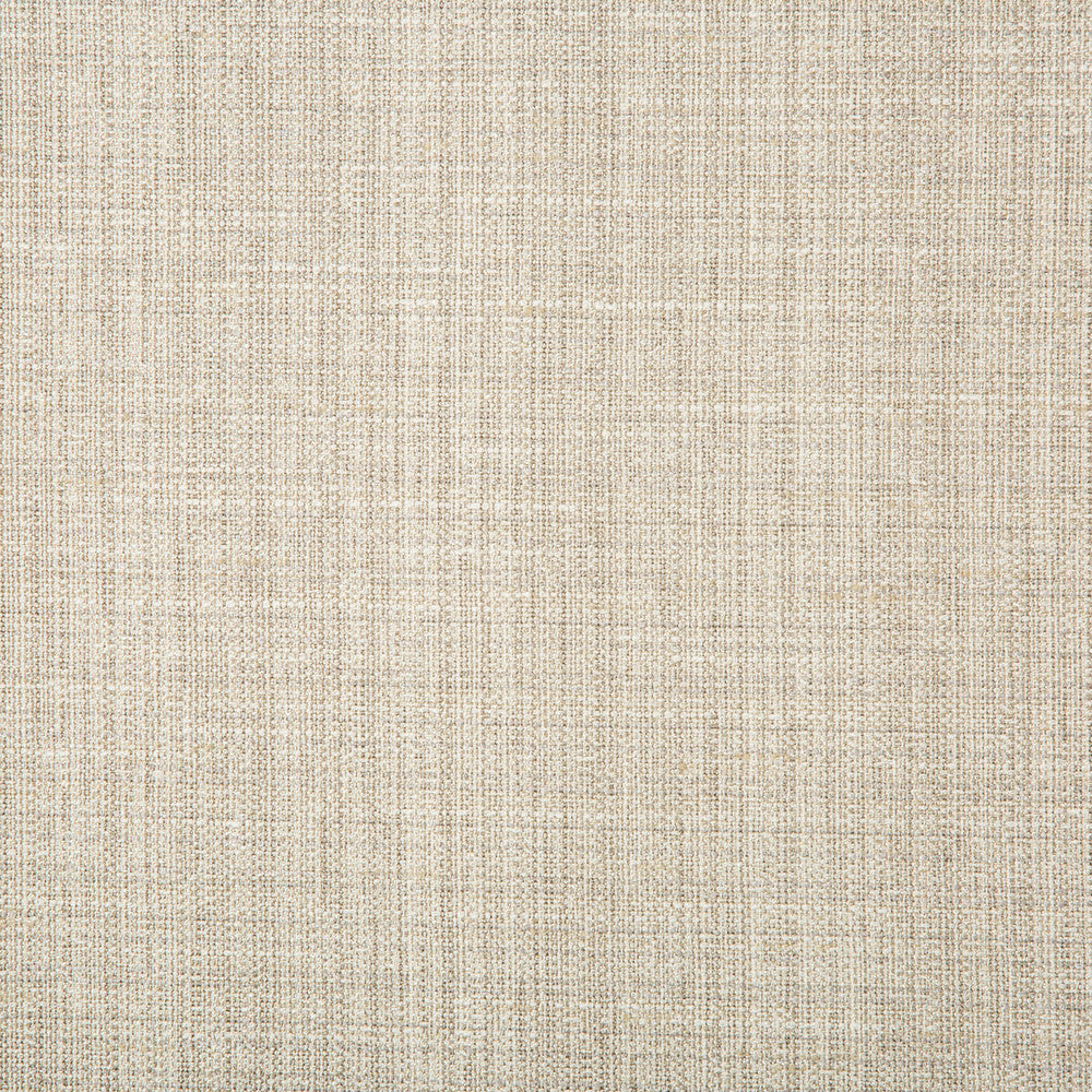 4665-11 by Kravet Basics Designer Fabric POLYESTER - 83%;RAYON - 12%;COTTON - 5% India HEAVY Horizontal: 0 and Vertical: 0 55 - Swanky Fabrics -
