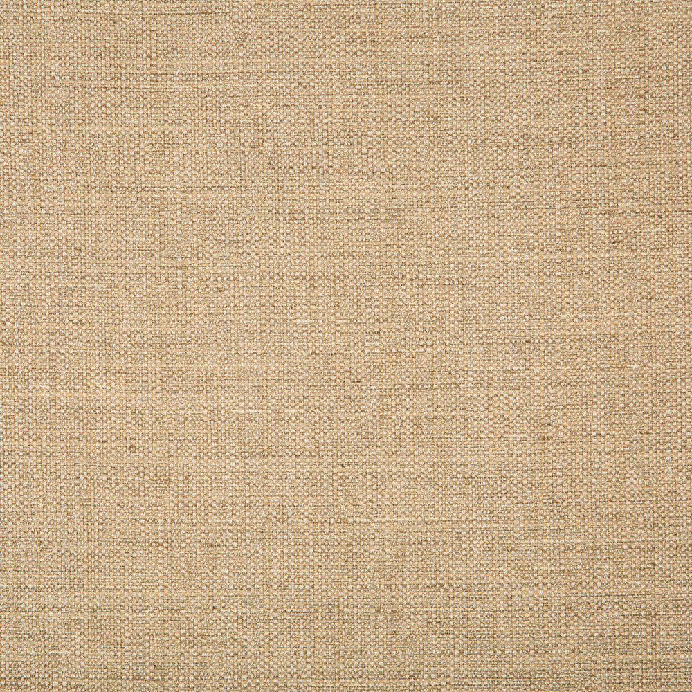 4665-16 by Kravet Basics Designer Fabric - POLYESTER - 83%;RAYON - 12%;COTTON - 5% India HEAVY Horizontal: 0 and Vertical: 0 55 - Swanky Fabrics -