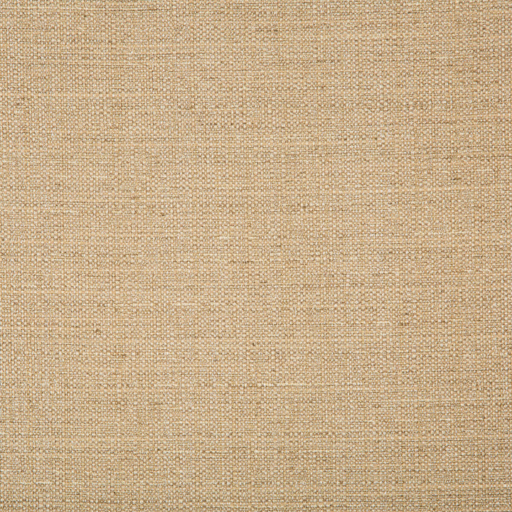 4665-16 by Kravet Basics Designer Fabric POLYESTER - 83%;RAYON - 12%;COTTON - 5% India HEAVY Horizontal: 0 and Vertical: 0 55 - Swanky Fabrics -