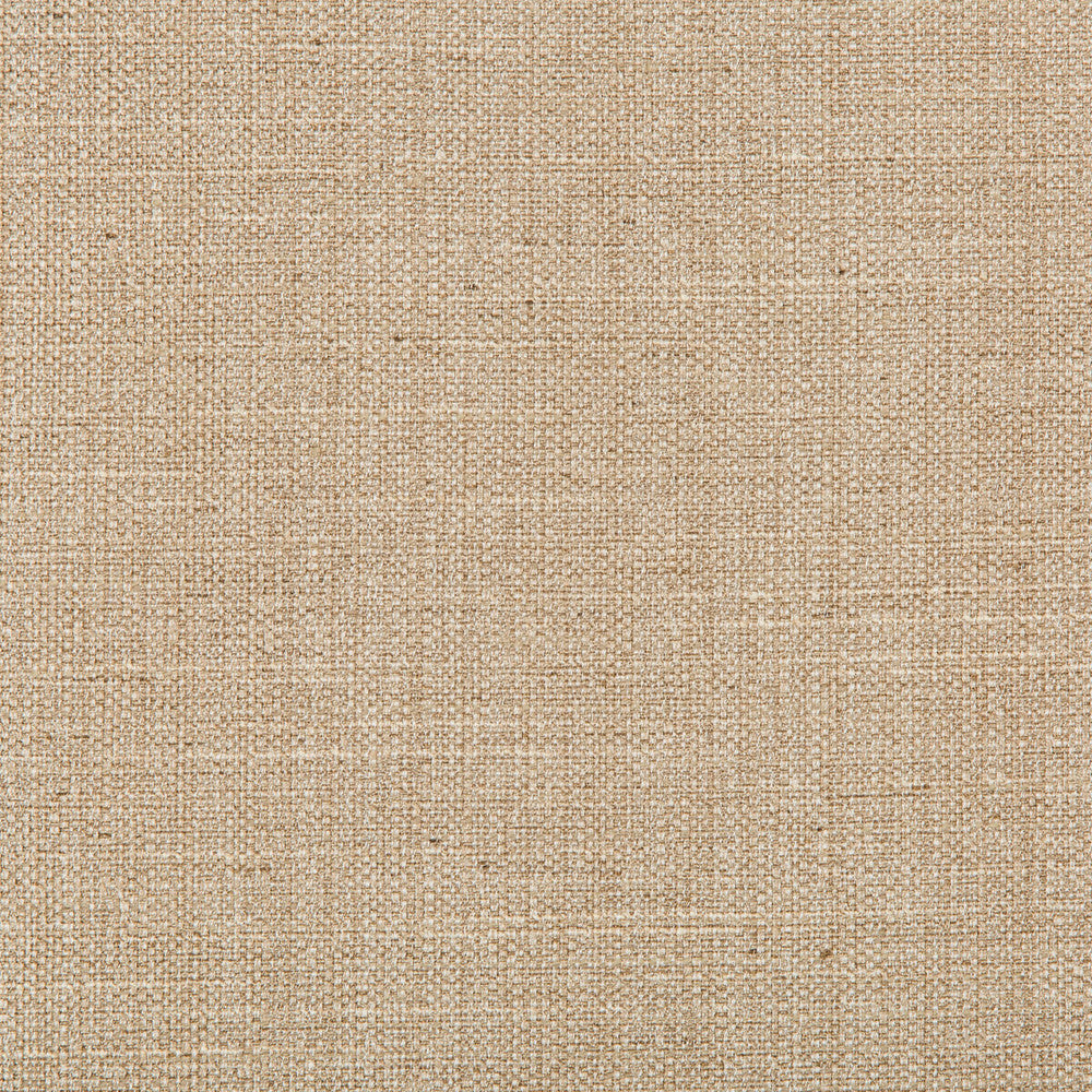 4665-16 by Kravet Basics Designer Fabric - POLYESTER - 83%;RAYON - 12%;COTTON - 5% India HEAVY Horizontal: 0 and Vertical: 0 55 - Swanky Fabrics -