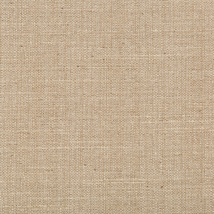 4665-16 by Kravet Basics Designer Fabric POLYESTER - 83%;RAYON - 12%;COTTON - 5% India HEAVY Horizontal: 0 and Vertical: 0 55 - Swanky Fabrics -