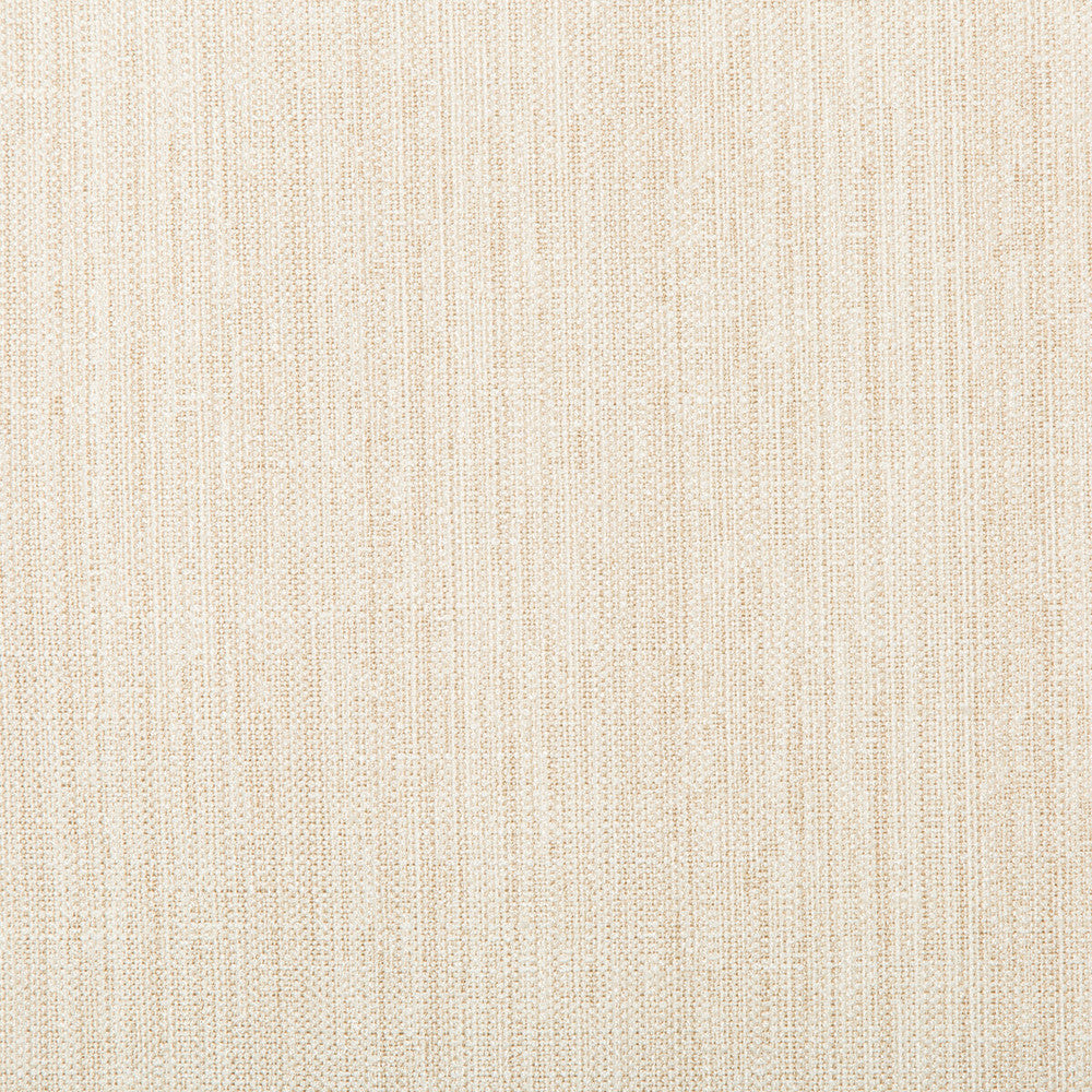 4665-1 by Kravet Basics Designer Fabric POLYESTER - 83%;RAYON - 12%;COTTON - 5% India HEAVY Horizontal: and Vertical: 55 - Swanky Fabrics -