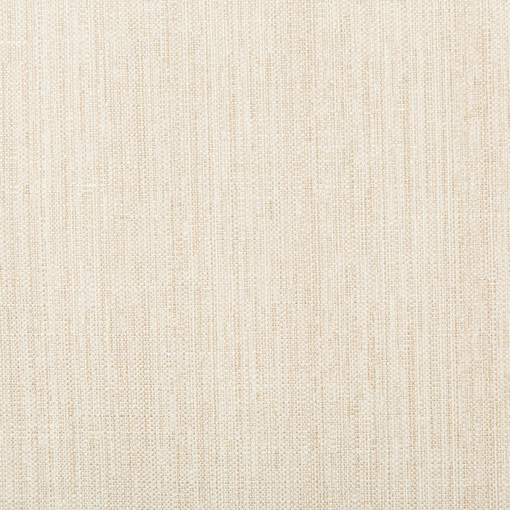 4665-1 by Kravet Basics Designer Fabric POLYESTER - 83%;RAYON - 12%;COTTON - 5% India HEAVY Horizontal: and Vertical: 55 - Swanky Fabrics -