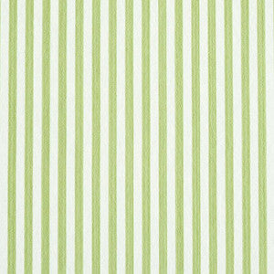 Schumacher Wallpaper Edwin Stripe Narrow Leaf 5011869
