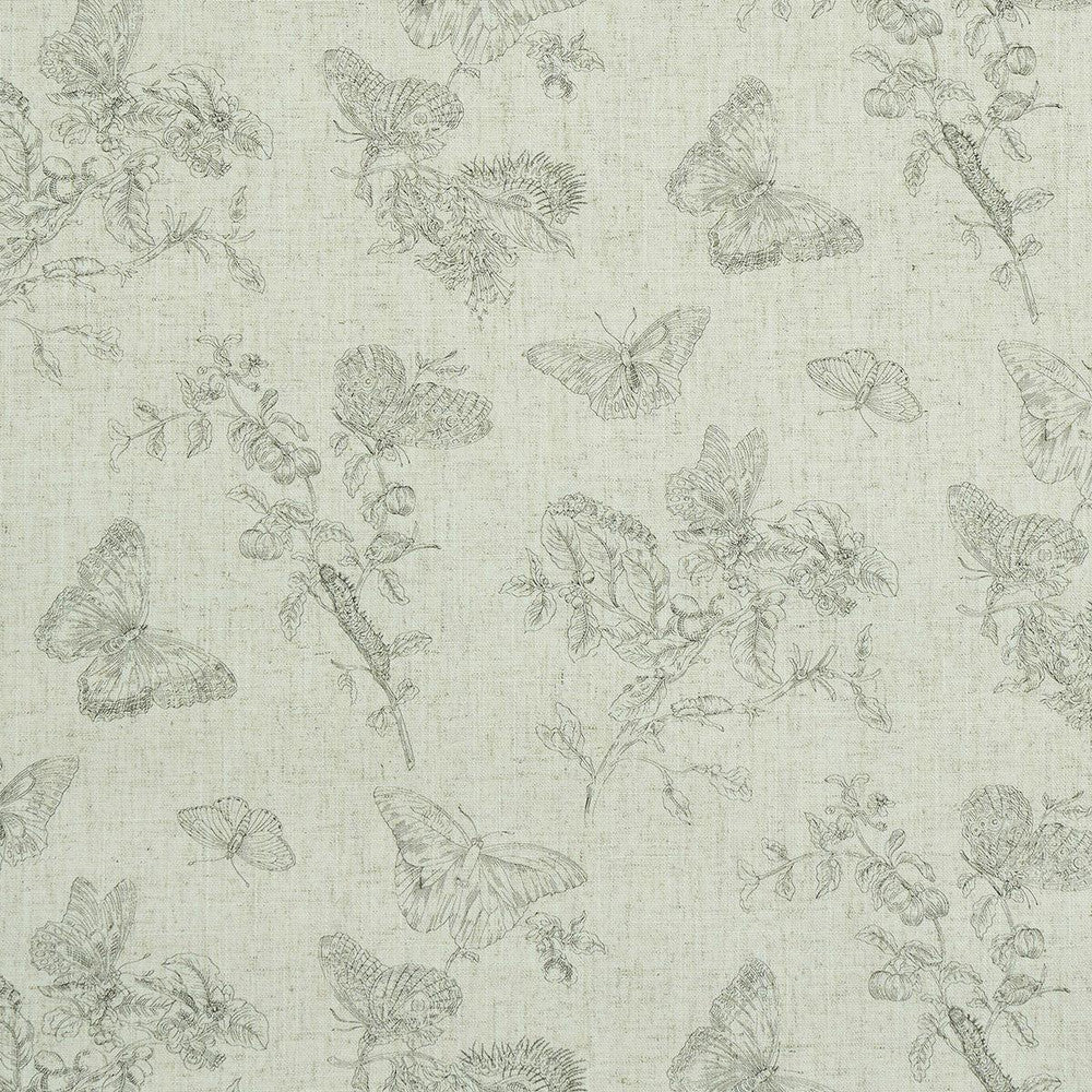Baudin Butterfly Linen Black 5011830 by Schumacher Designer Wallpaper Perennial Favorites 26.0" - Swanky Fabrics -