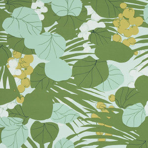Schumacher Wallpaper Sea Grapes Palm 5011730