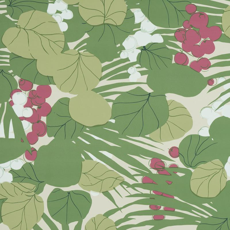 Sea Grapes Tropical 5011731 by Schumacher Designer Wallpaper Perennial Favorites 27.0" - Swanky Fabrics -