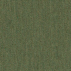 4671  Fern by Sunbrella Designer Fabric our website for purchase 100% Sunbrella Acrylic USA (see sample) n/a 46"  - Swanky Fabrics -