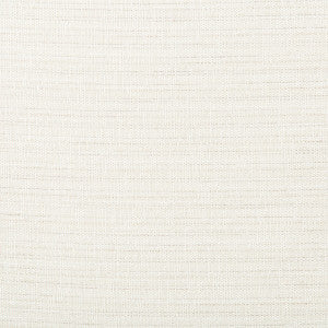 Kravet Fabric 4673-101