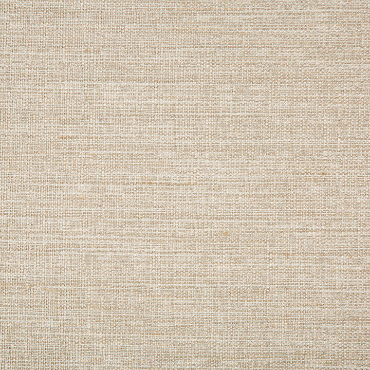 4673-16 by Kravet Basics Designer Fabric POLYESTER - 100% India Horizontal: 0 and Vertical: 0 54 - Swanky Fabrics -