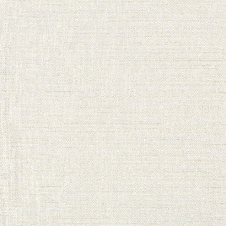 4673-1 by Kravet Basics Designer Fabric POLYESTER - 100% India Horizontal: 0 and Vertical: 0 54 - Swanky Fabrics -