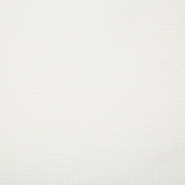 4675-101 by Kravet Basics Designer Fabric COTTON - 50%;POLYESTER - 50% India Horizontal: and Vertical: 54 - Swanky Fabrics -