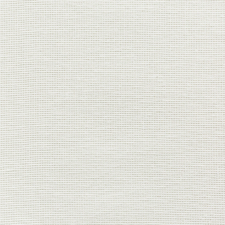 4675-1 by Kravet Basics Designer Fabric COTTON - 50%;POLYESTER - 50% India Horizontal: 0 and Vertical: 0 54 - Swanky Fabrics -