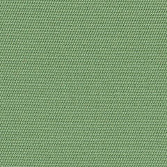 4688 Basil by Sunbrella Designer Fabric Awning Fabrics > SunbrellaÂ® Solids 100% Acrylic USA or Imported n/a 46" - Swanky Fabrics -