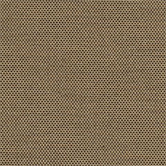 4696 Tresco Birch by Sunbrella Designer Fabric Awning Fabrics > SunbrellaÂ® Solids 100% Acrylic USA or Imported n/a 46" - Swanky Fabrics -