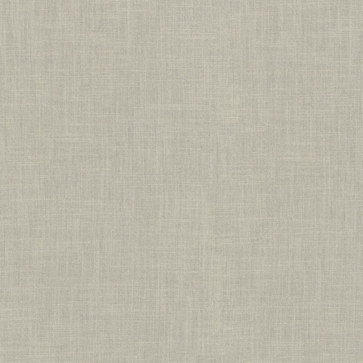 Millbrook Flax 470500 by PKL Studio Designer Fabric - 52% cotton, 48% polyester India 51000 Horizontal: N/A and Vertical: N/A 55 - Swanky Fabrics -
