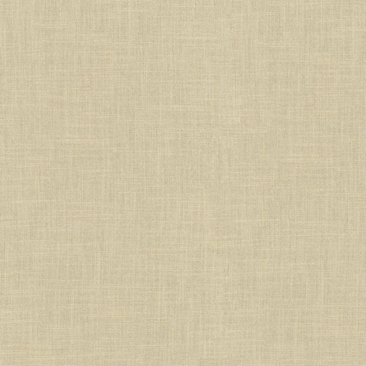 Millbrook Sand 470502 by PKL Studio Designer Fabric - 52% cotton, 48% polyester India 51000 Horizontal: N/A and Vertical: N/A 55 - Swanky Fabrics -