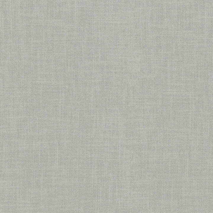 Millbrook Gray 470506 by PKL Studio Designer Fabric - 52% cotton, 48% polyester India 51000 Horizontal: N/A and Vertical: N/A 55 - Swanky Fabrics -