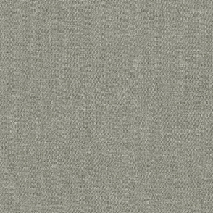 Millbrook Shale 470507 by PKL Studio Designer Fabric - 52% cotton, 48% polyester India 51000 Horizontal: N/A and Vertical: N/A 55 - Swanky Fabrics -