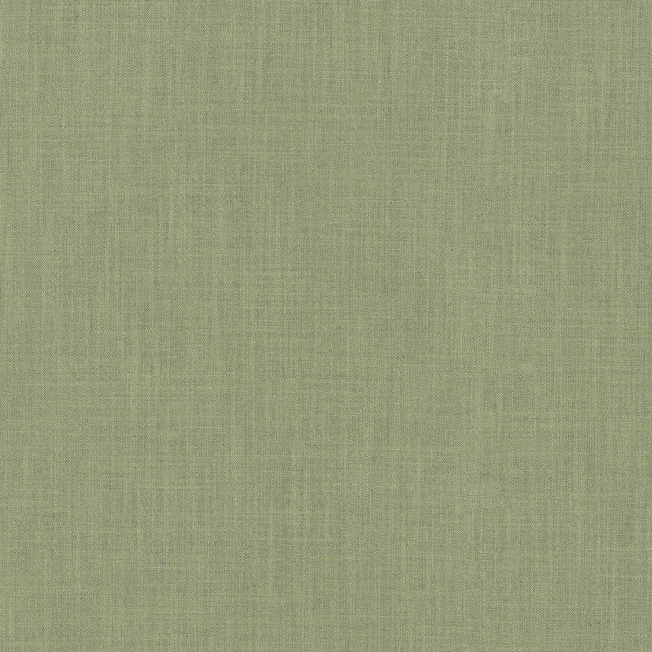 Millbrook Willow 470513 by PKL Studio Designer Fabric - 52% cotton, 48% polyester India 51000 Horizontal: N/A and Vertical: N/A 54 - Swanky Fabrics -