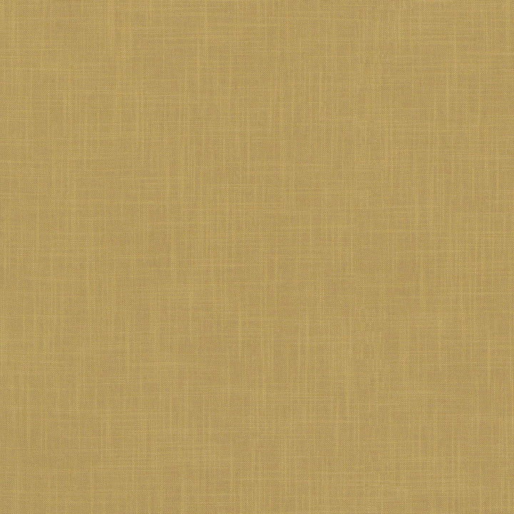 Millbrook Gold 470514 by PKL Studio Designer Fabric - 52% cotton, 48% polyester India 51000 Horizontal: N/A and Vertical: N/A 55 - Swanky Fabrics -