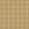 PKL Studio Fabric Catalina Check Camel 470614