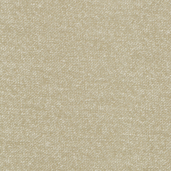 Despina Linen 470670 by PKL Studio Designer Fabric - 100% polyester India 51000 Horizontal: 9.25 and Vertical: 12.125 55 - Swanky Fabrics -
