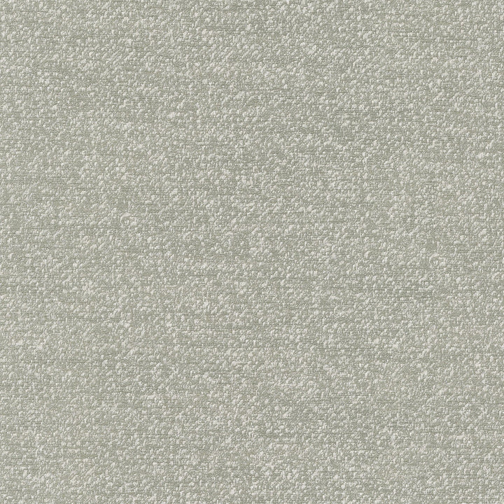 Despina Gray 470672 by PKL Studio Designer Fabric - 100% polyester India 51000 Horizontal: 9.25 and Vertical: 12.125 55 - Swanky Fabrics -